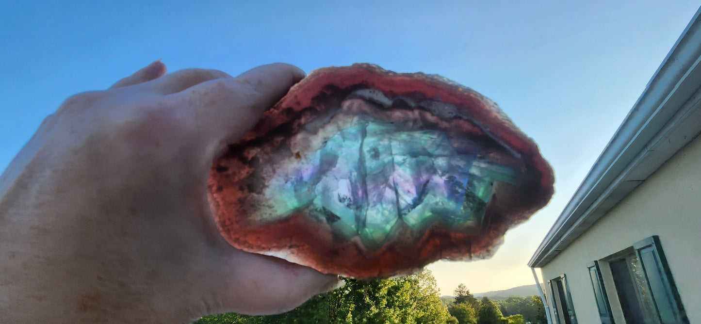 Rainbow Fluorite Slab