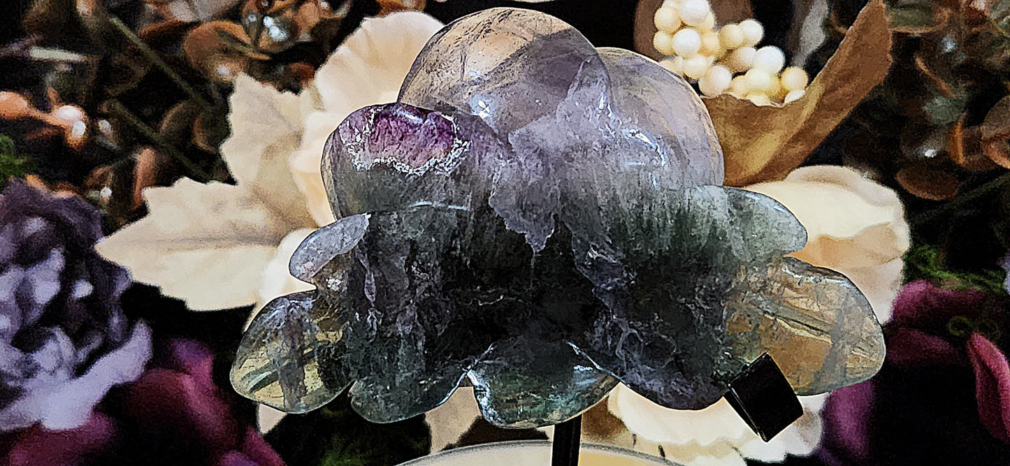 Rainbow Fluorite Rose
