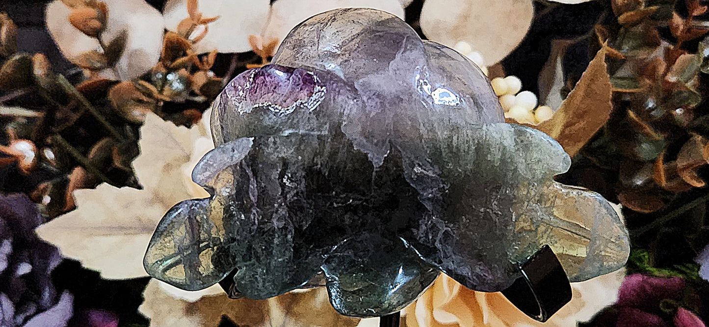 Rainbow Fluorite Rose