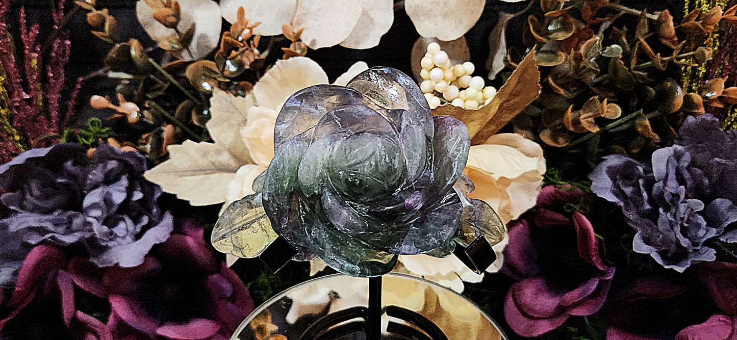 Rainbow Fluorite Rose