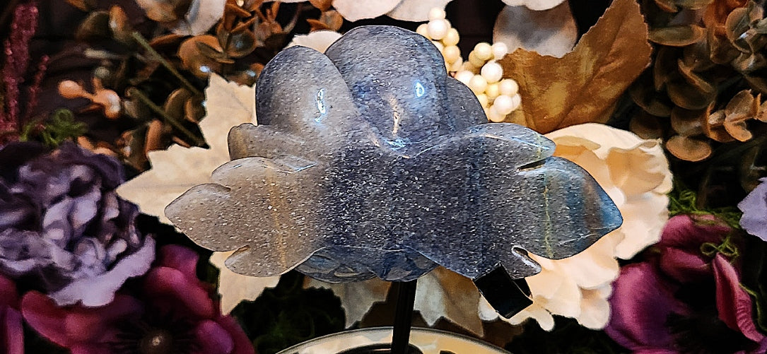 Blue Trolleite Rose