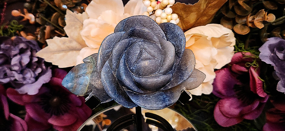Blue Trolleite Rose