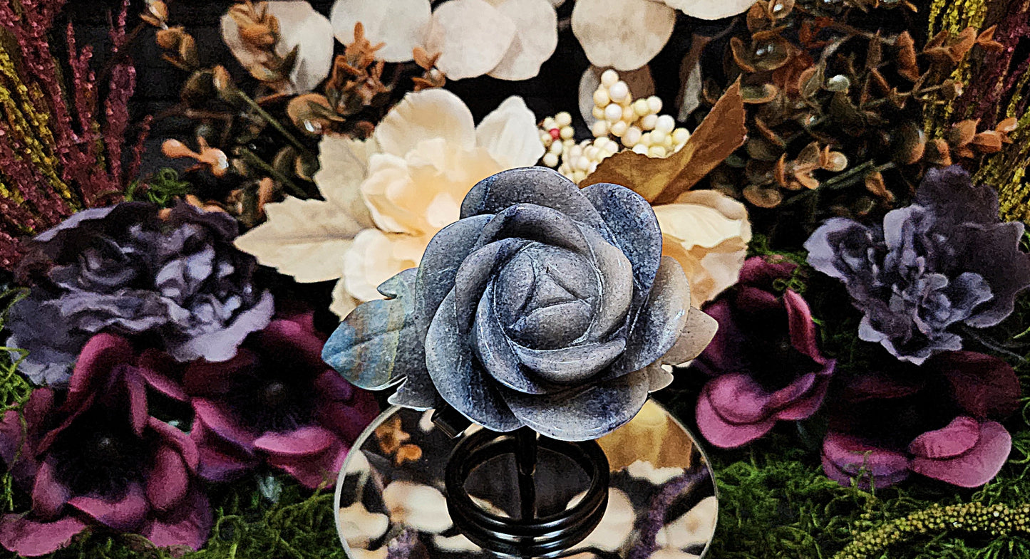 Blue Trolleite Rose