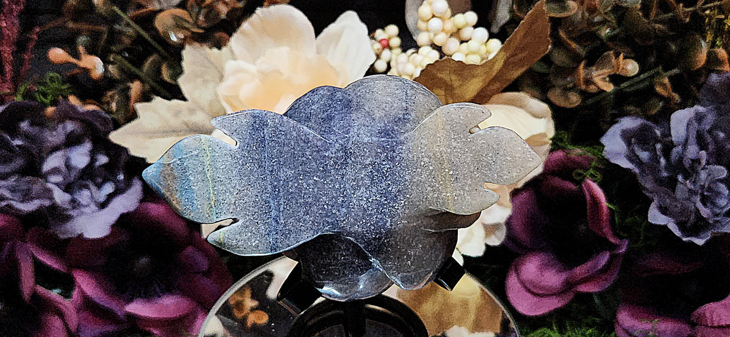 Blue Trolleite Rose