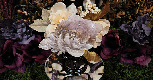 Crazy Lace Amethyst Rose