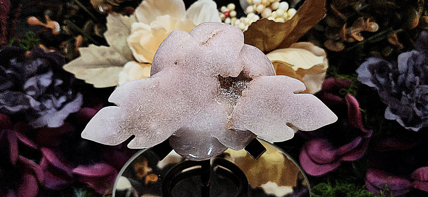 Pink Amethyst Rose