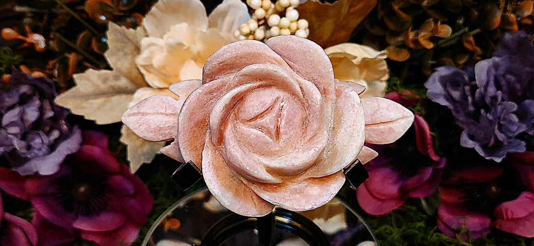 Pink Opal Rose
